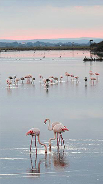 La laguna di Orbetello